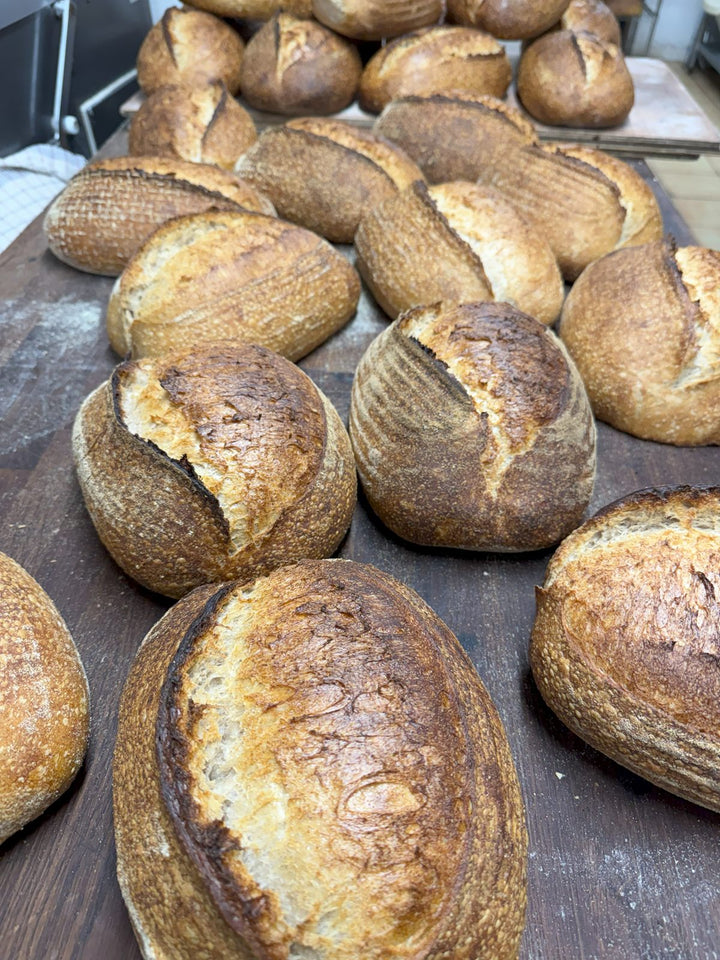 Rows of freshly baked sourdough loaves cooling on a wooden bench.
